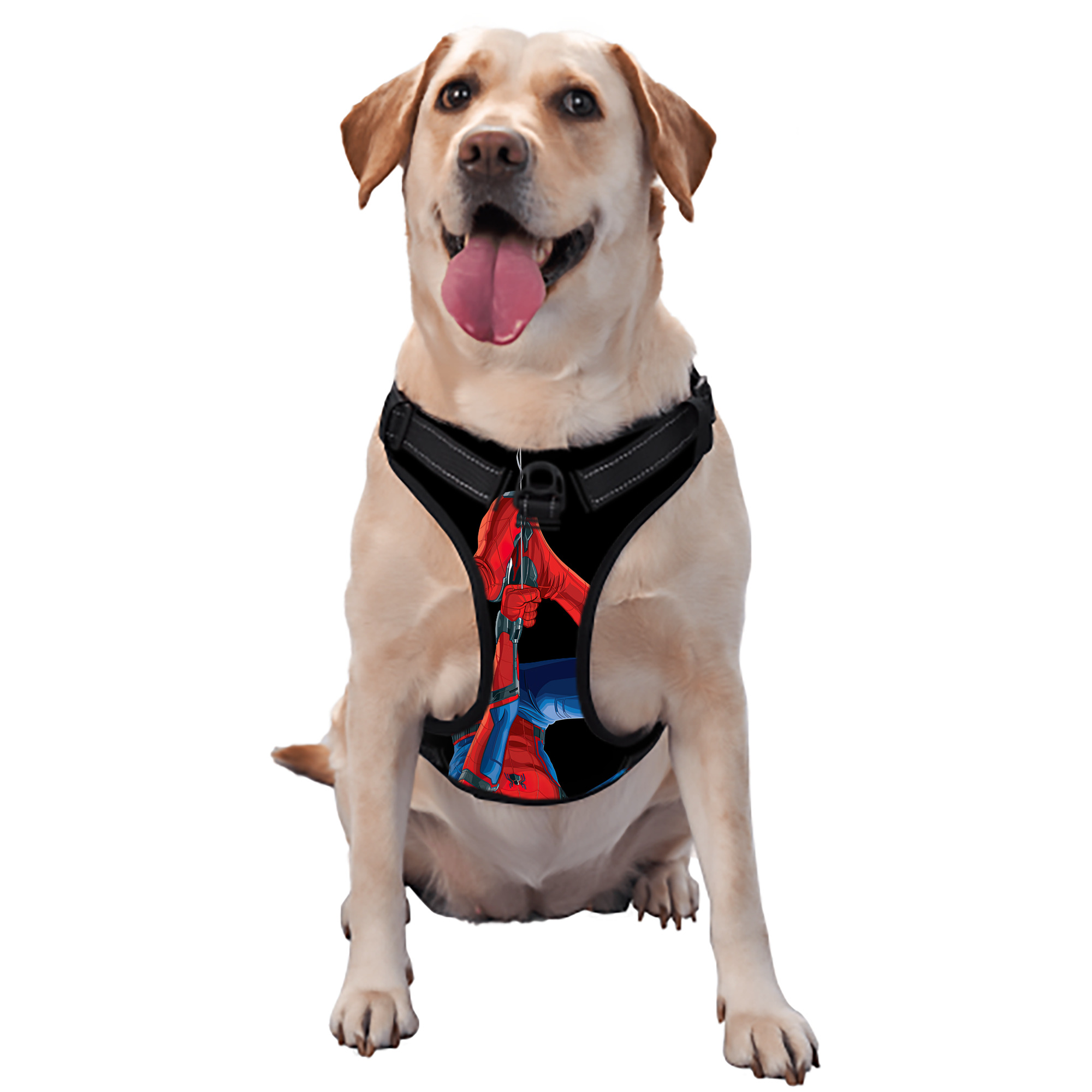 （画像用） Spider Man スパイダーマン ペット用ハーネス
